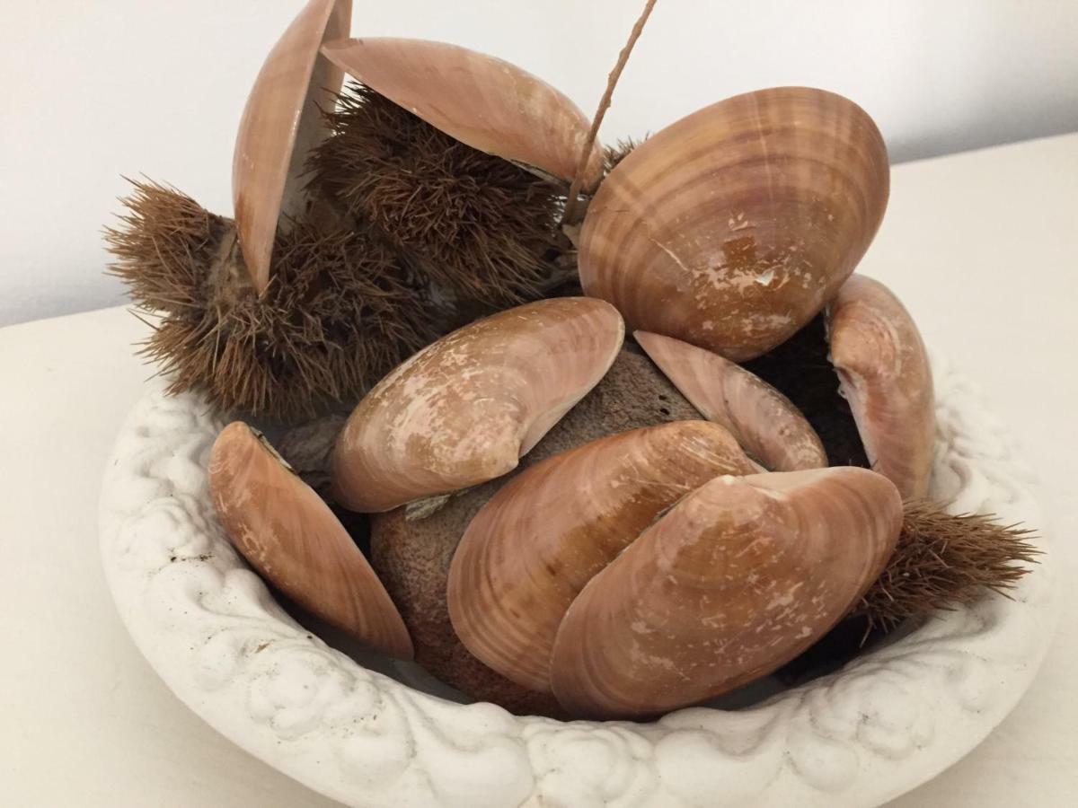 巴勒莫 Pelu Il Marinaio酒店 外观 照片